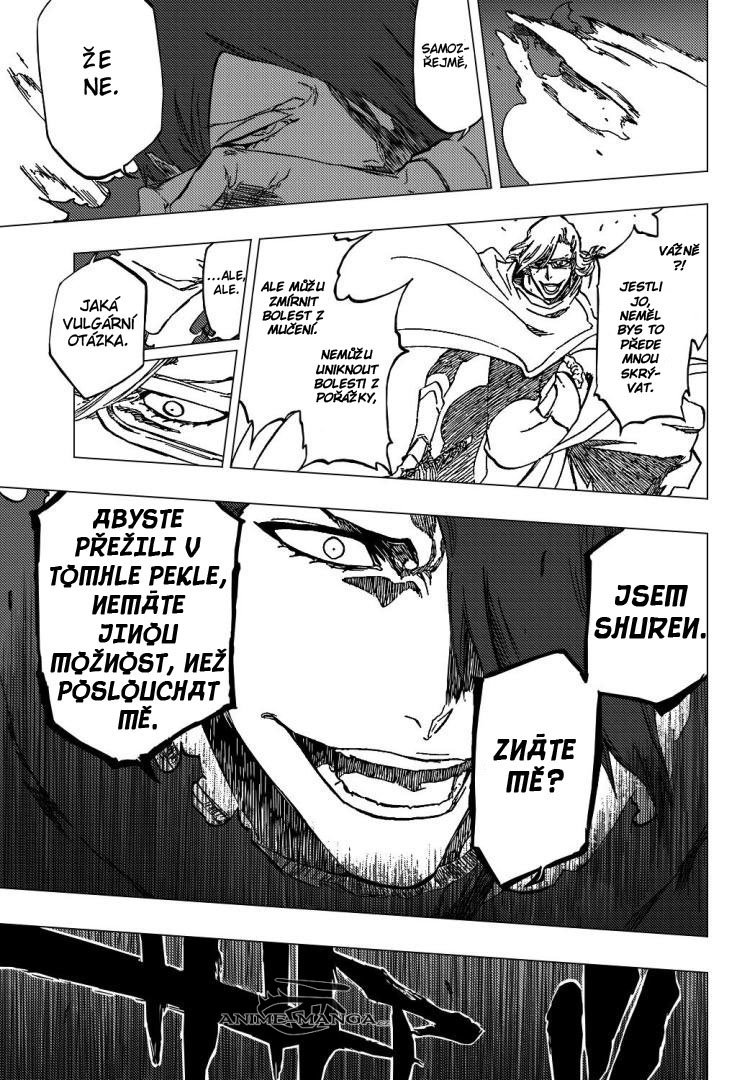 bleach-imag001-13 kopie.jpg